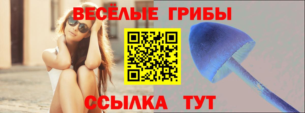 Беслан  Галлюциногенные грибы GOLDEN TEACHER  цены наркотик  Вход с VPN  Галлюциногенные грибы мицелий 